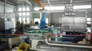 एक्सट्रीम टेम्प पंप बियरिंग्स 1650सी