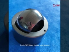 SSIC पंपों के लिए प्रयुक्त सिरेमिक संयुक्त असर