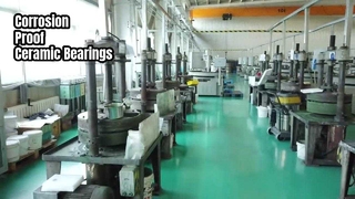 स्टेनलेस स्टील ऐप्स के लिए सिरेमिक बियरिंग्स