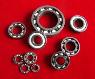 Hybrid Ceramic Bearings for Stainless Steel Application with High Efficiency and Customized Support
